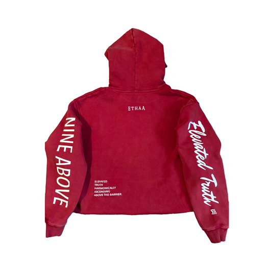 ETHAA Code Crop Hoodie